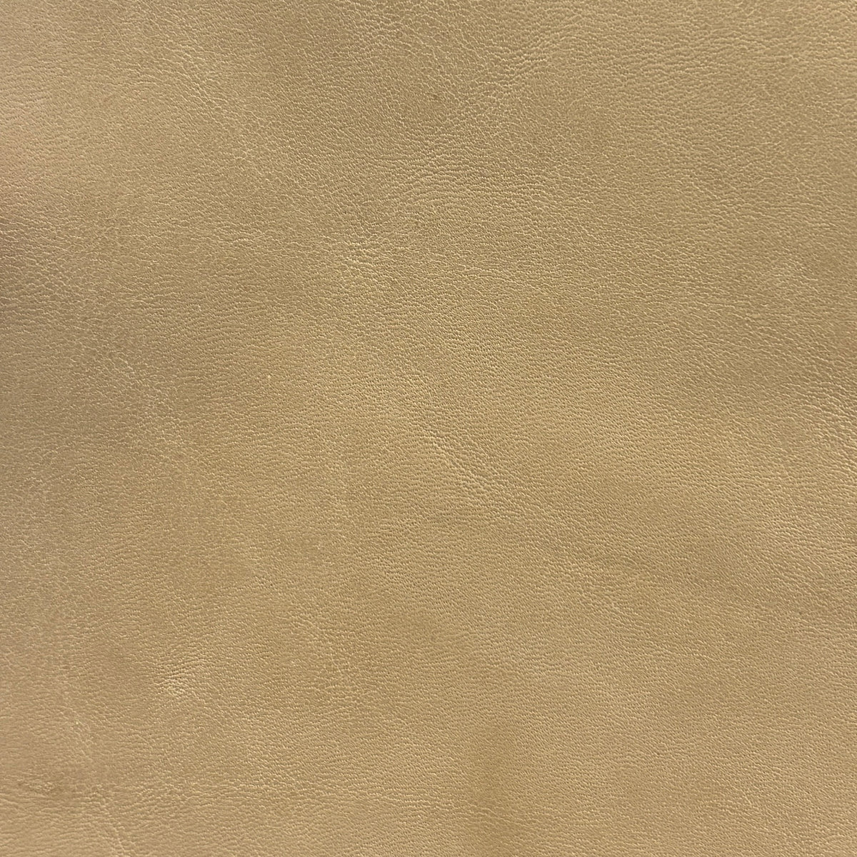 Sardinia | Desert