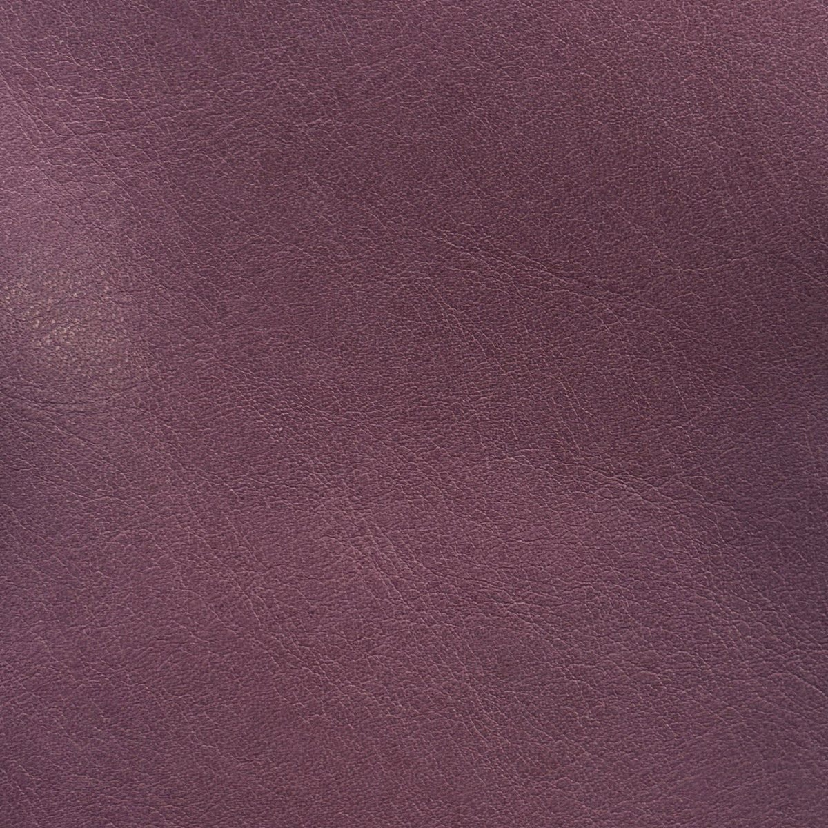 Sardinia | Lavender