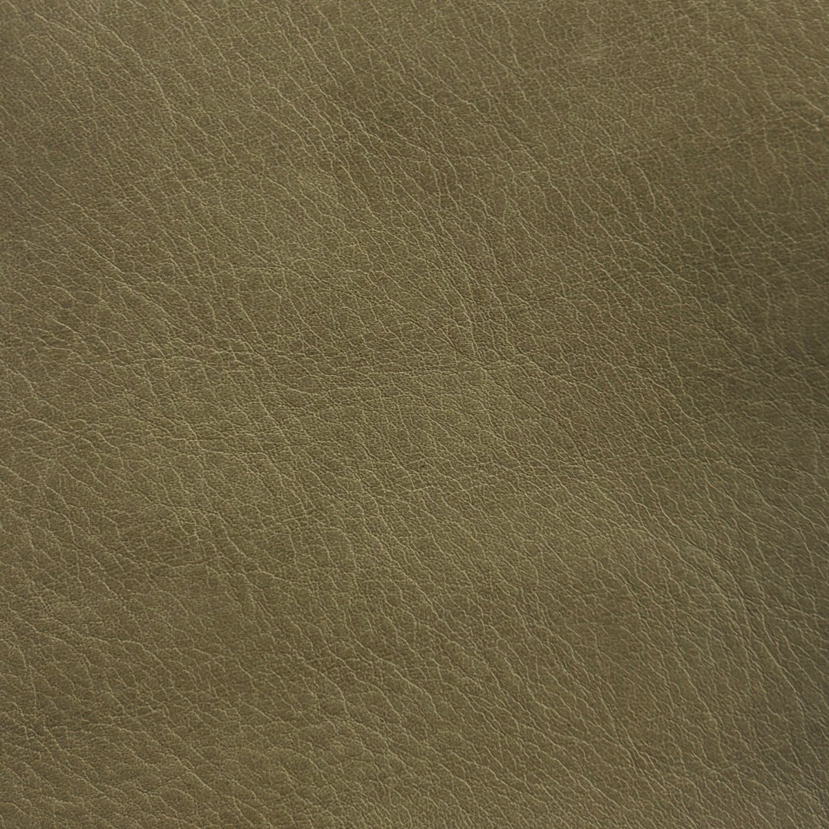 Sardinia | Light Olive