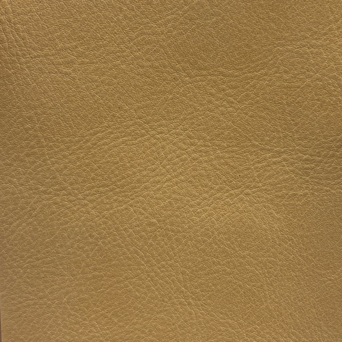 Sardinia | Sahara