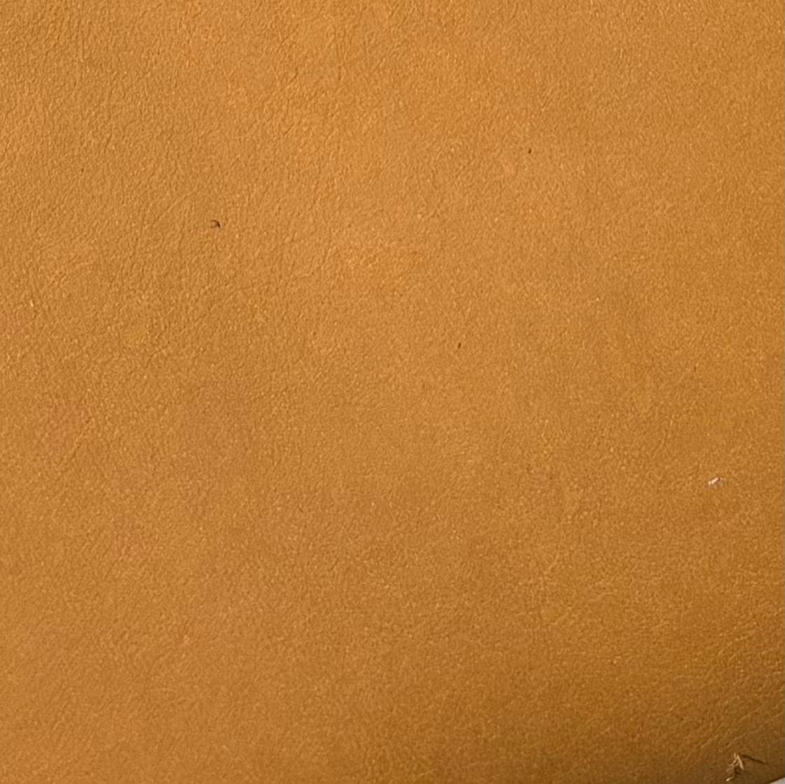 Luxxe Caramel Natural Leather Upholstery Golden