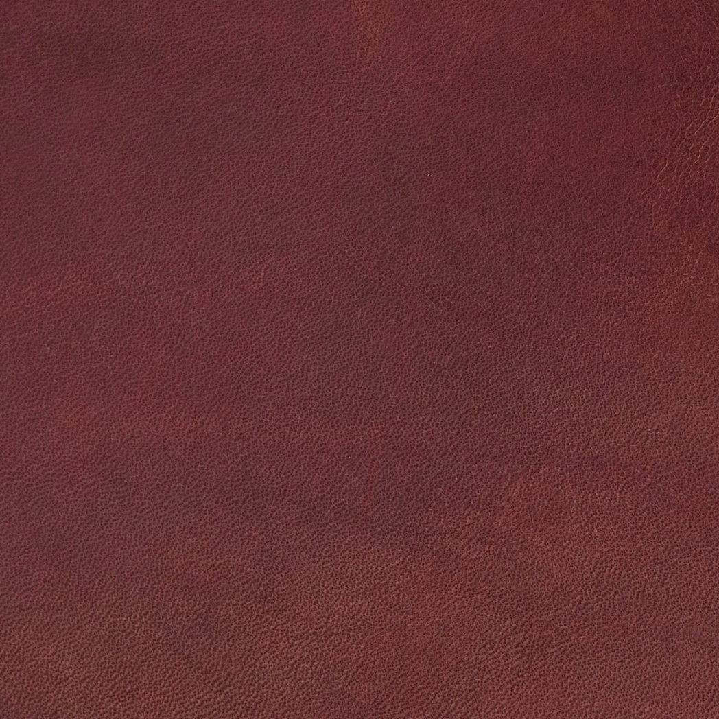 Palermo | Elderberry