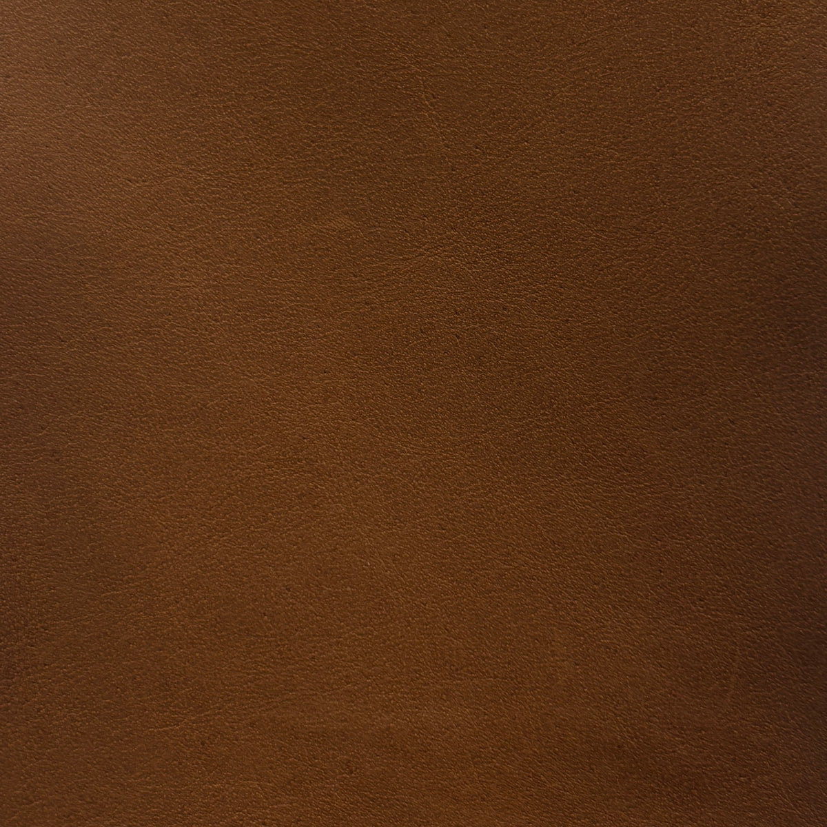 Sardinia | Cognac