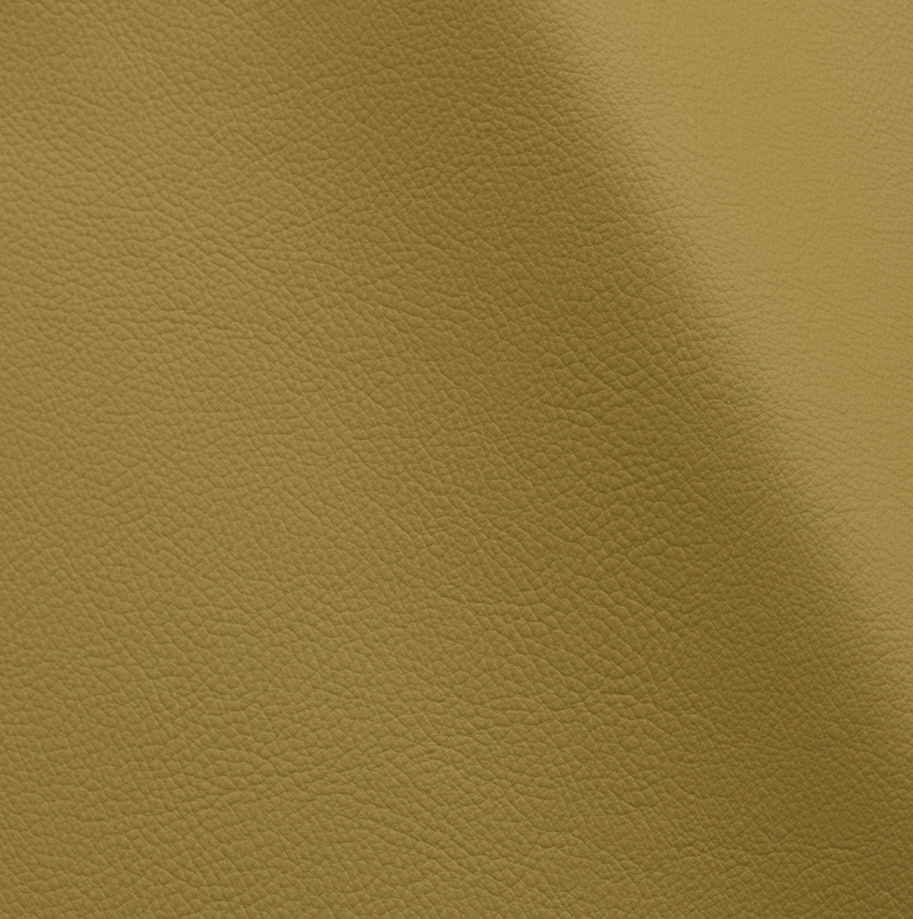 Studio Bubble  | Alchemilla