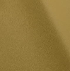 Studio Bubble  | Alchemilla