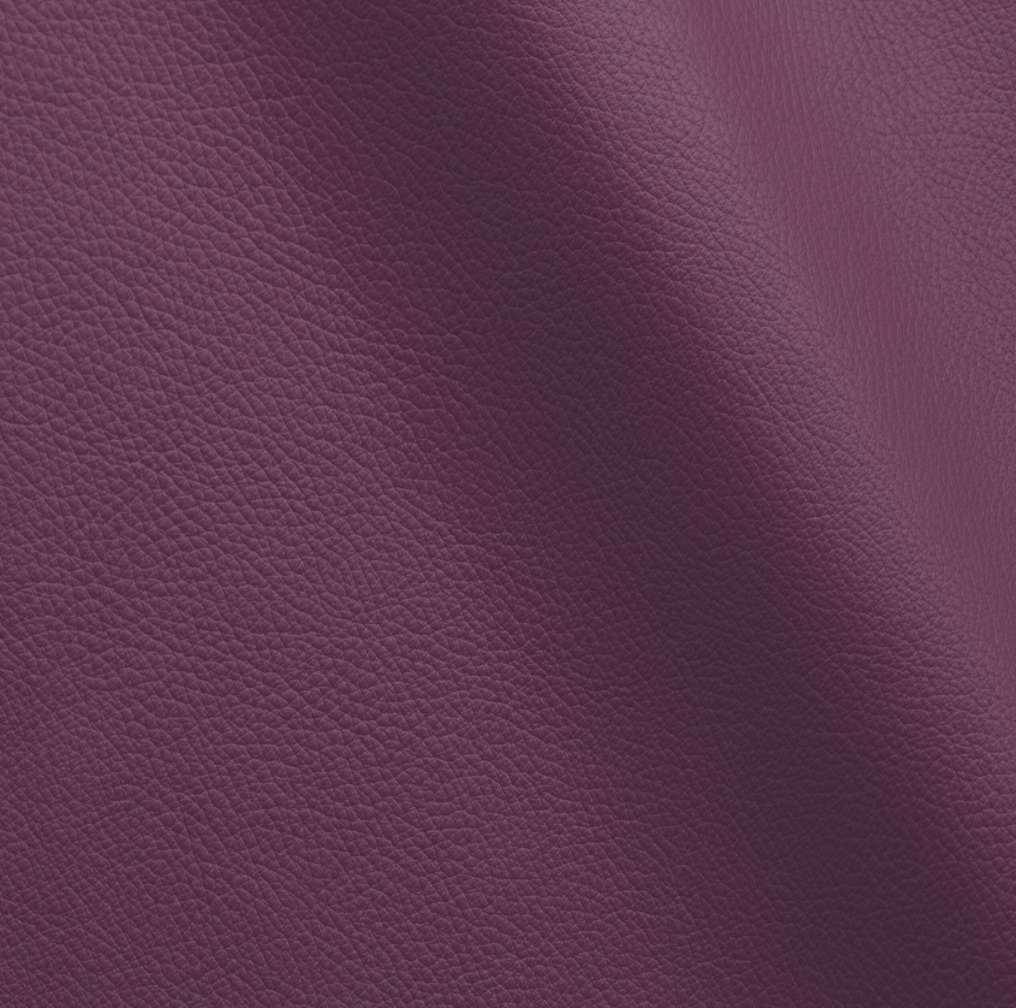 Studio Bubble  | Anemone