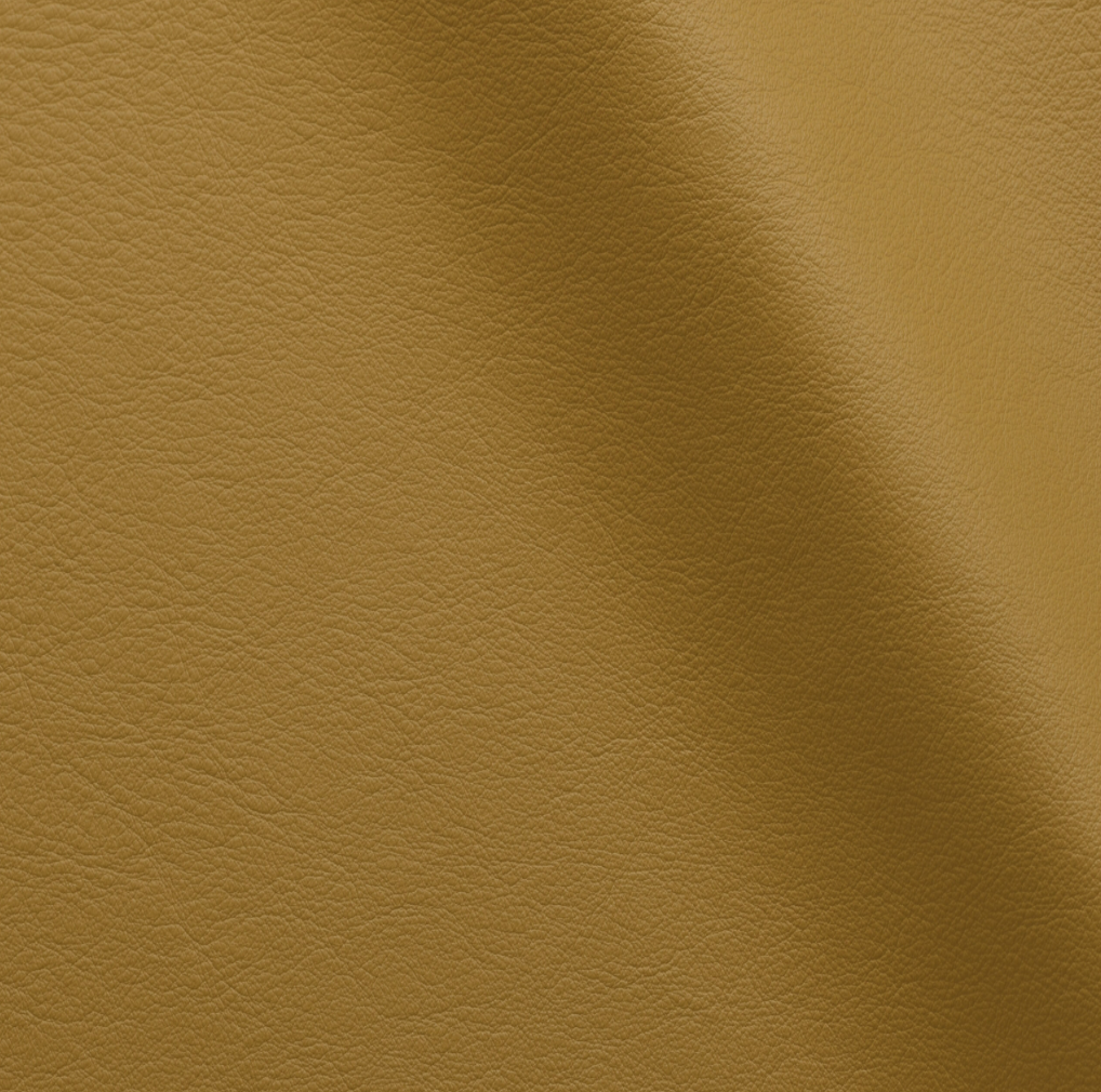 Studio Bubble  | Arnica