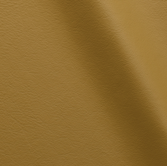 Studio Bubble  | Arnica