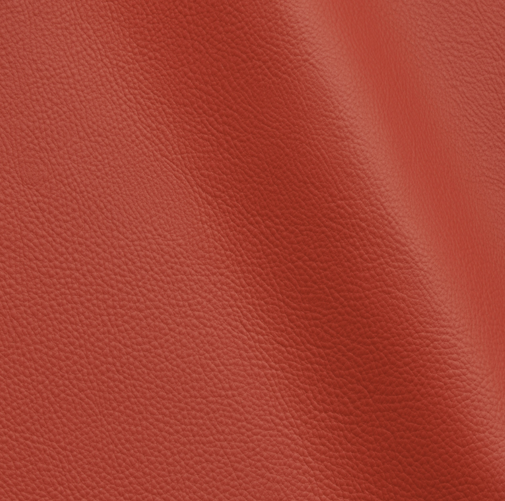 Studio Bubble  | Mango