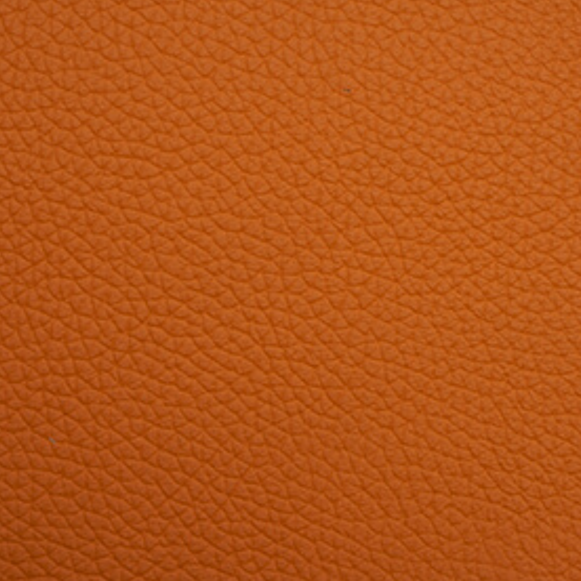 Luxxe Tosca | Pumpkin