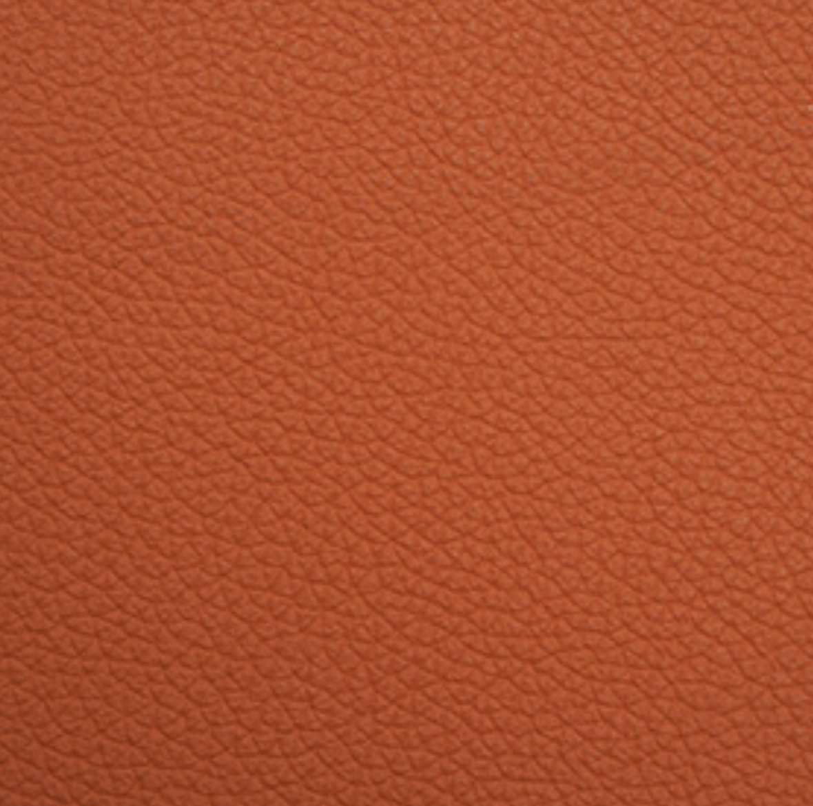Luxxe Tosca | Zucca
