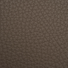Luxxe Bubble | Conchiglia