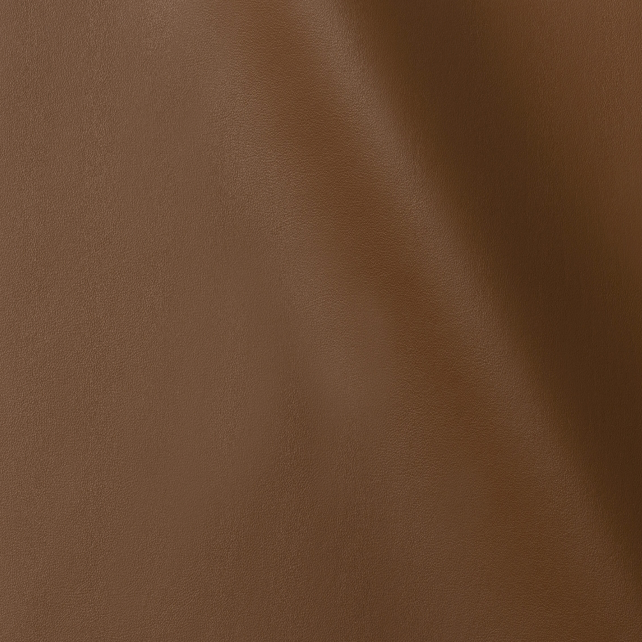 Palm Beach  | Cinnamon