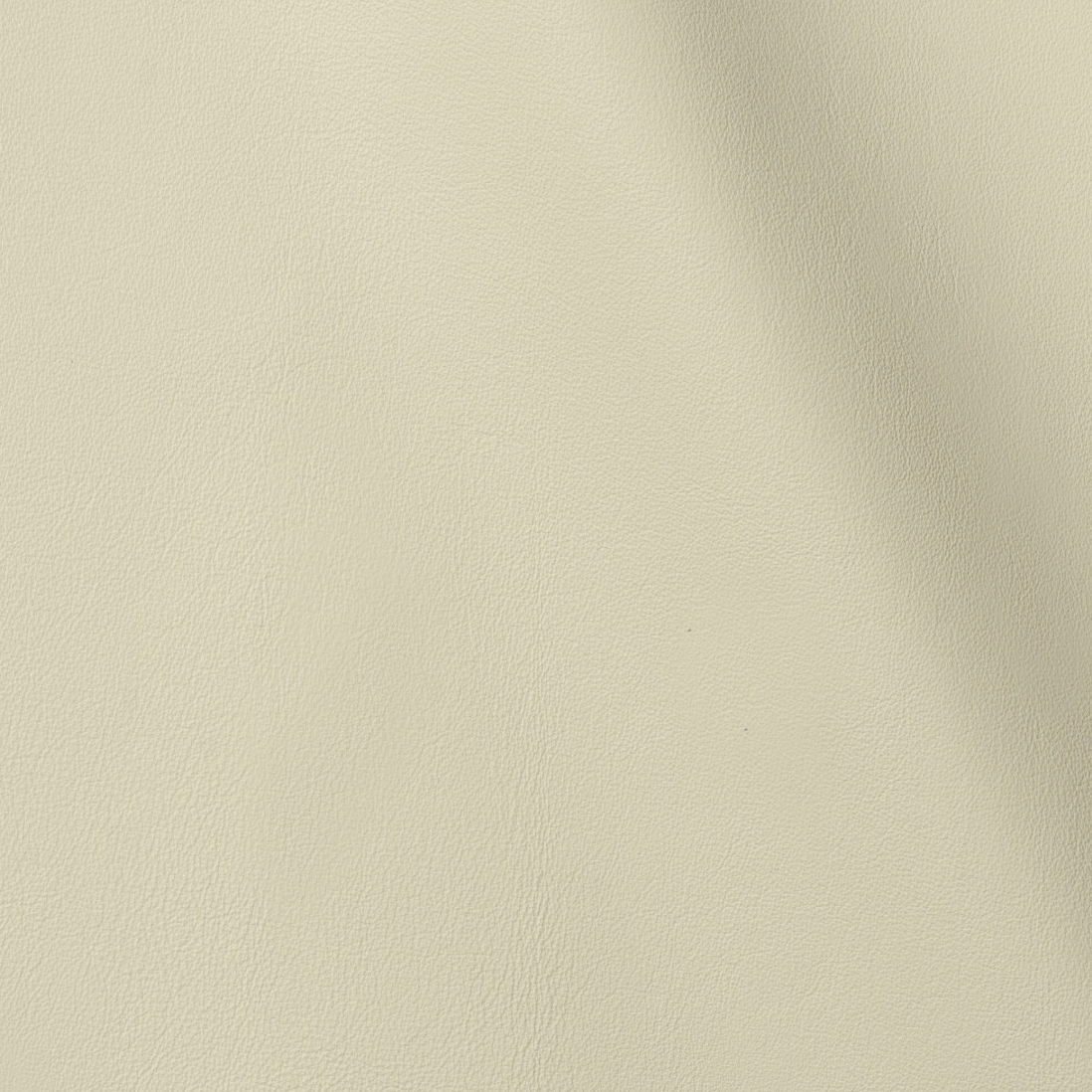 Palm Beach  | Cream
