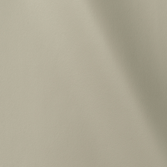 Palm Beach  | Shadow